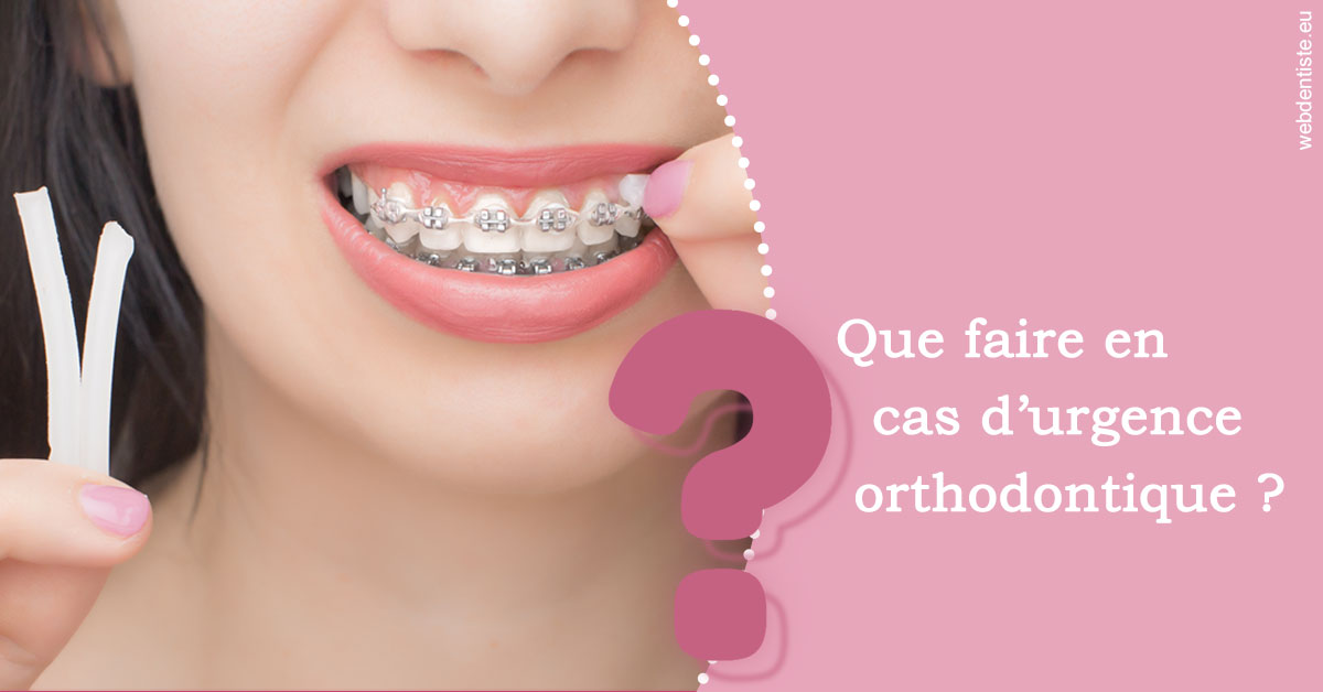 https://dr-monlouis-deva-michele-sandra.chirurgiens-dentistes.fr/Urgence orthodontique 1