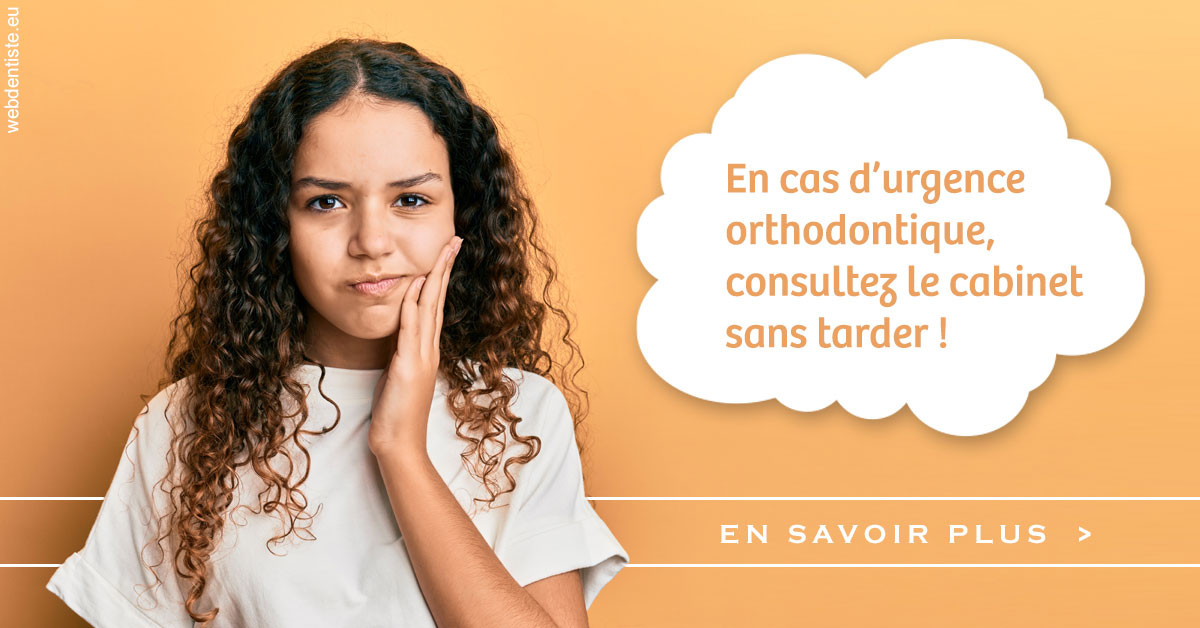 https://dr-monlouis-deva-michele-sandra.chirurgiens-dentistes.fr/Urgence orthodontique 2