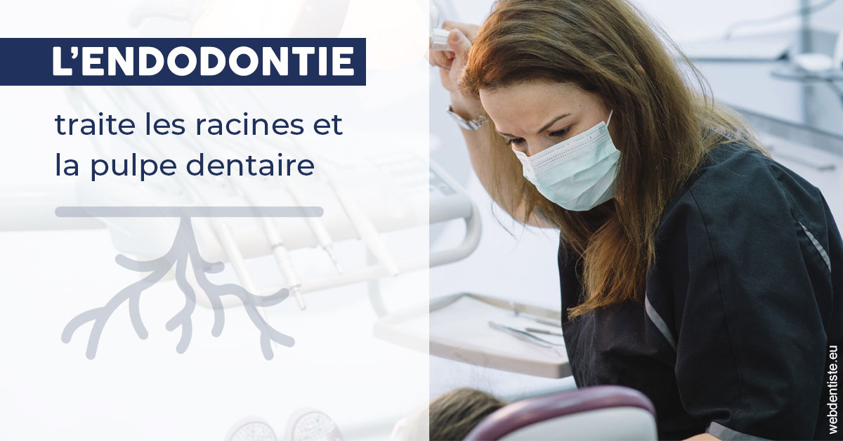 https://dr-monlouis-deva-michele-sandra.chirurgiens-dentistes.fr/L'endodontie 1