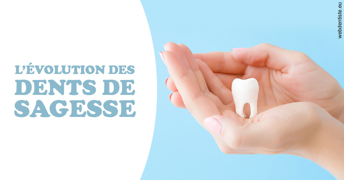 https://dr-monlouis-deva-michele-sandra.chirurgiens-dentistes.fr/Evolution dents de sagesse 1