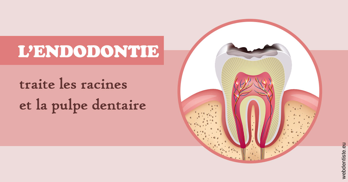 https://dr-monlouis-deva-michele-sandra.chirurgiens-dentistes.fr/L'endodontie 2