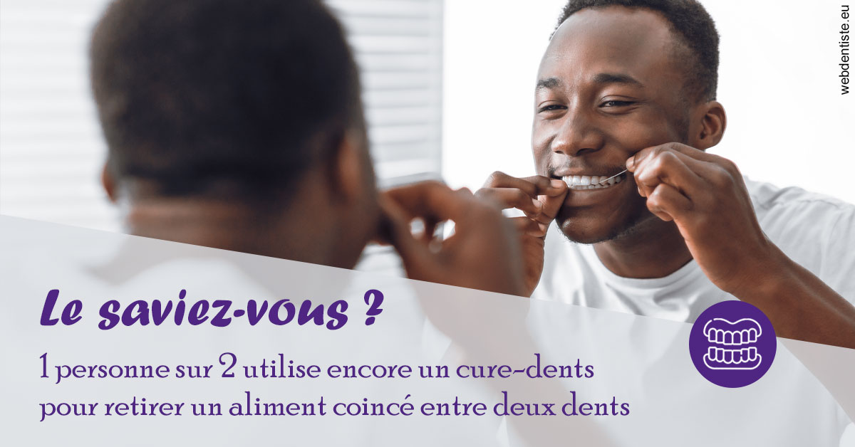 https://dr-monlouis-deva-michele-sandra.chirurgiens-dentistes.fr/Cure-dents 2