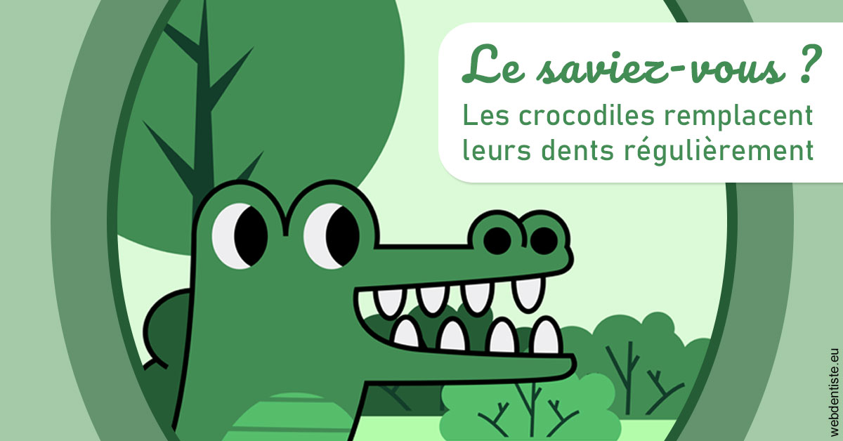 https://dr-monlouis-deva-michele-sandra.chirurgiens-dentistes.fr/Crocodiles 2