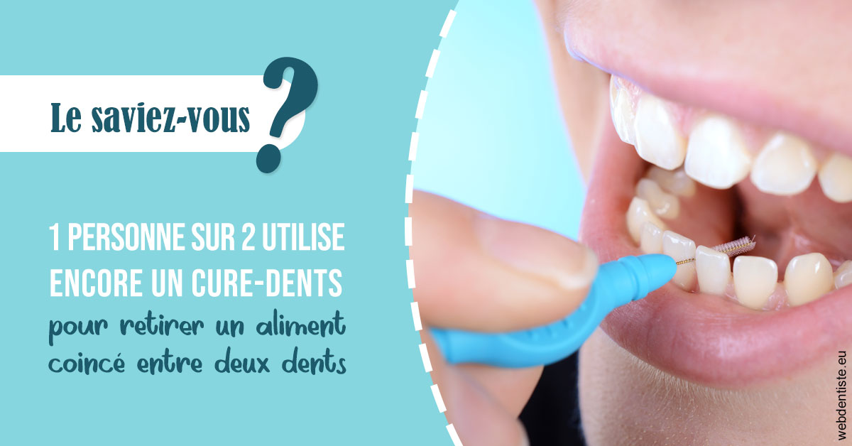 https://dr-monlouis-deva-michele-sandra.chirurgiens-dentistes.fr/Cure-dents 1