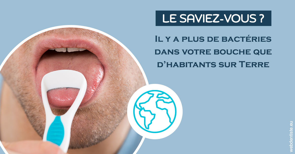 https://dr-monlouis-deva-michele-sandra.chirurgiens-dentistes.fr/Bactéries dans votre bouche 2